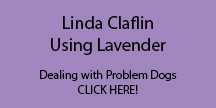 Linda-Claflin-1---Dealing-with-Problim